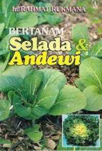 Bertanam Selada dan Andewi