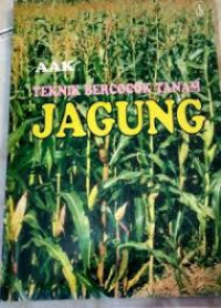 Teknik Bercocok Tanam Jagung